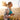 The Oral Microbiome: Its Impact on Oral and Systemic Health - SmileSip